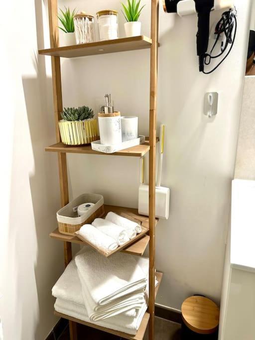 Appartement Perle Rare « le Cosy De Cdg » Le Blanc-Mesnil