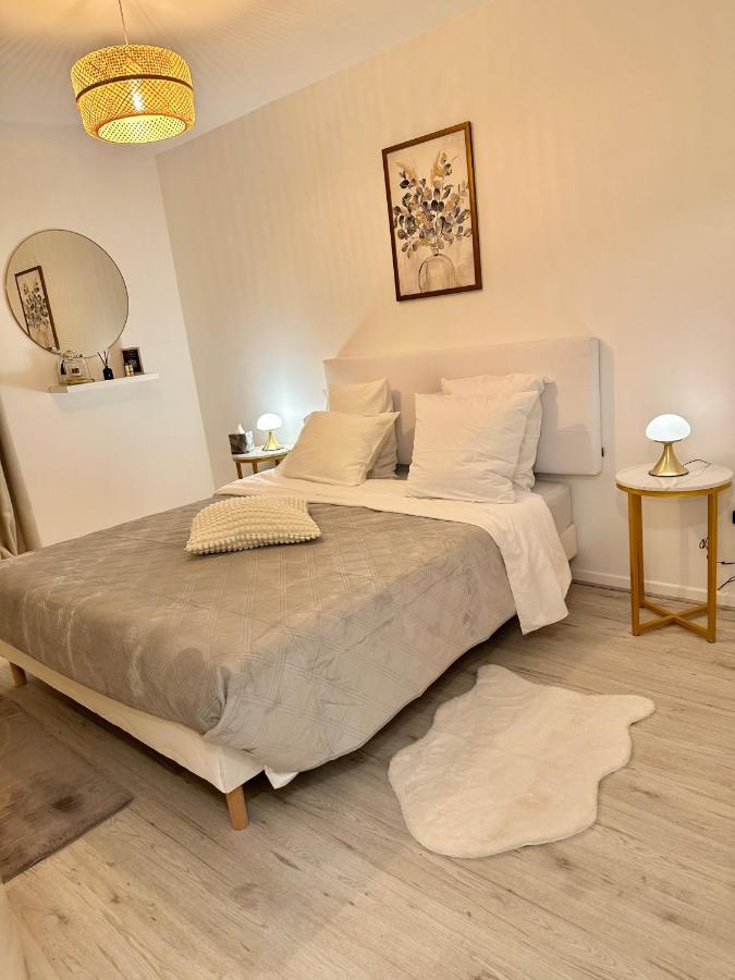 Perle Rare « le Cosy De Cdg » Appartement