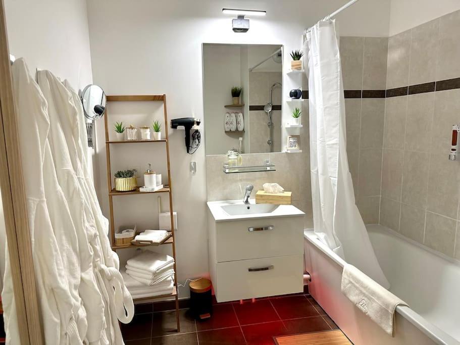 Perle Rare « le Cosy De Cdg » Appartement